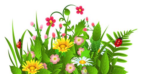 clipart plants and flowers